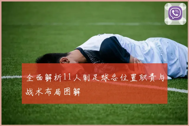 全面解析11人制足球各位置职责与战术布局图解