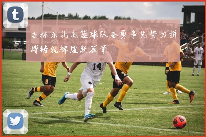 吉林东北虎篮球队奋勇争先努力拼搏铸就辉煌新篇章