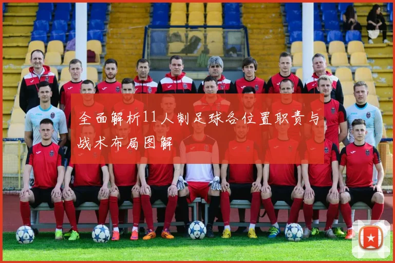 全面解析11人制足球各位置职责与战术布局图解