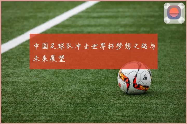 中国足球队冲击世界杯梦想之路与未来展望