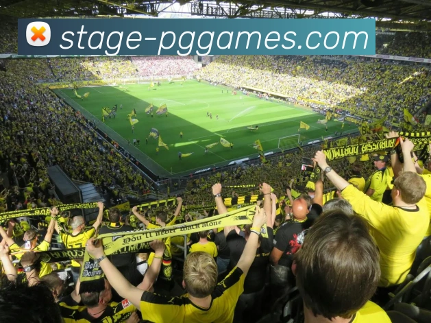 多媒体互动体验